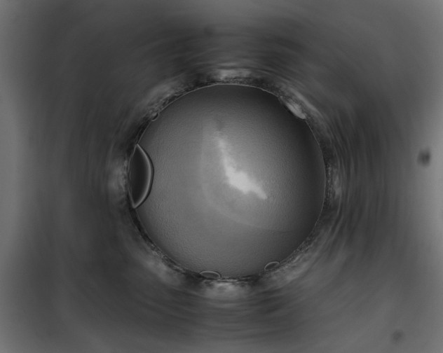 X0000100480475200806201634