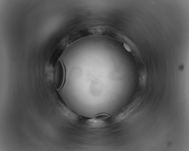 X0000100480477200806201634