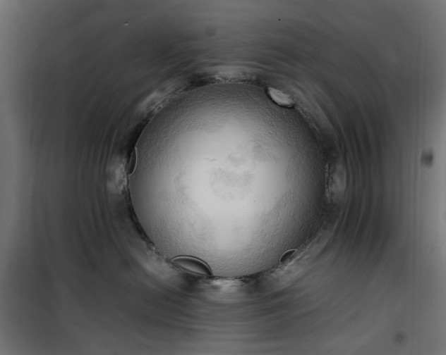 X0000100480478200806201634
