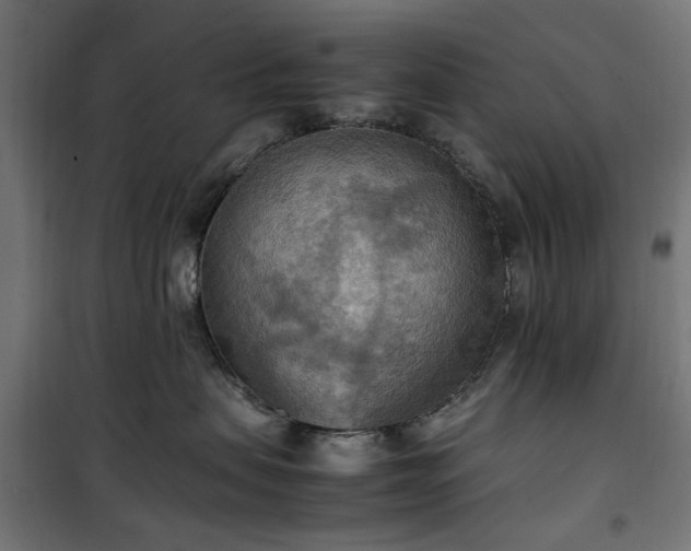 X0000100480479200806201634