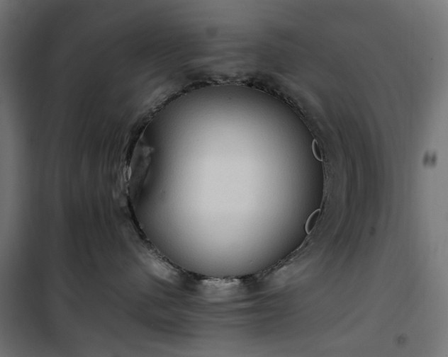 X0000100480480200806201634