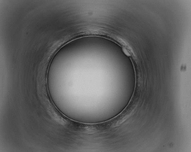 X0000100480481200806201633