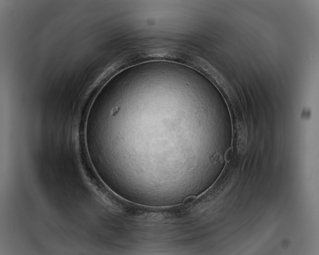 X0000100480482200806201633