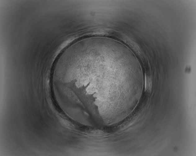 X0000100480483200806201633