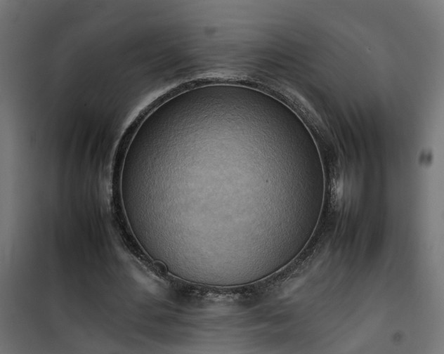 X0000100480484200806201633