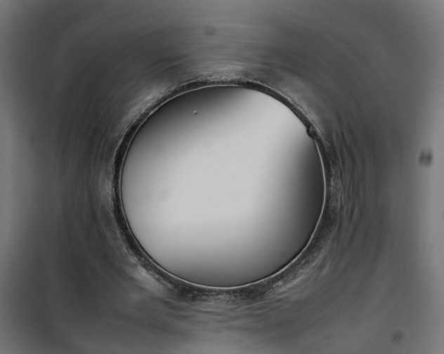 X0000100480485200806201633