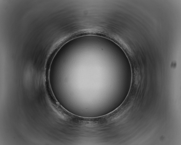 X0000100480486200806201633