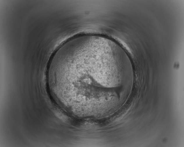 X0000100480487200806201633