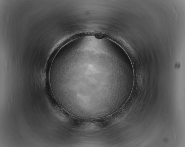X0000100480488200806201633