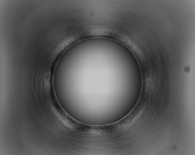 X0000100480490200806201633