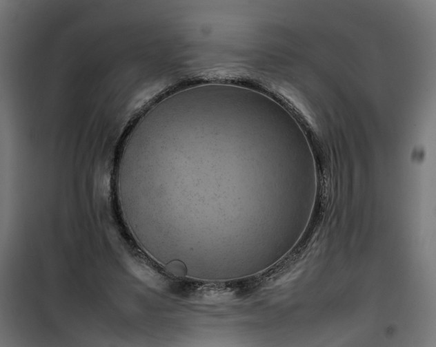 X0000100480491200806201633