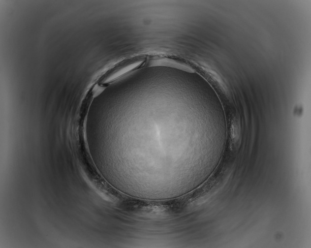 X0000100480492200806201633