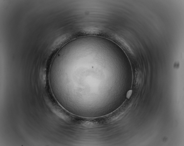 X0000100480494200806201633