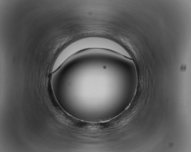 X0000100480495200806201633