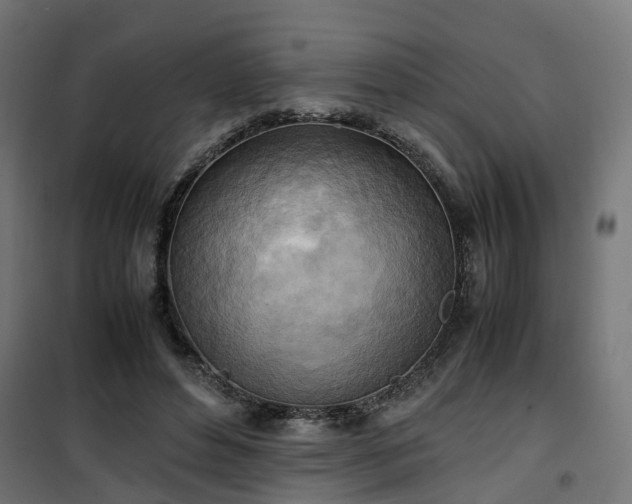 X0000100480496200806201633