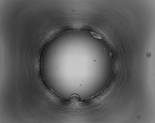 X0000100480497200806201633