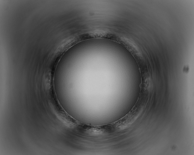 X0000100480498200806201633