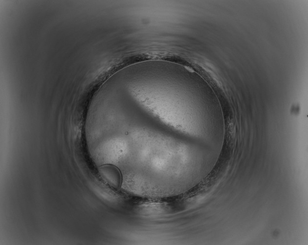 X0000100480499200806201633