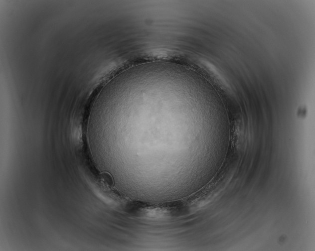 X0000100480500200806201633