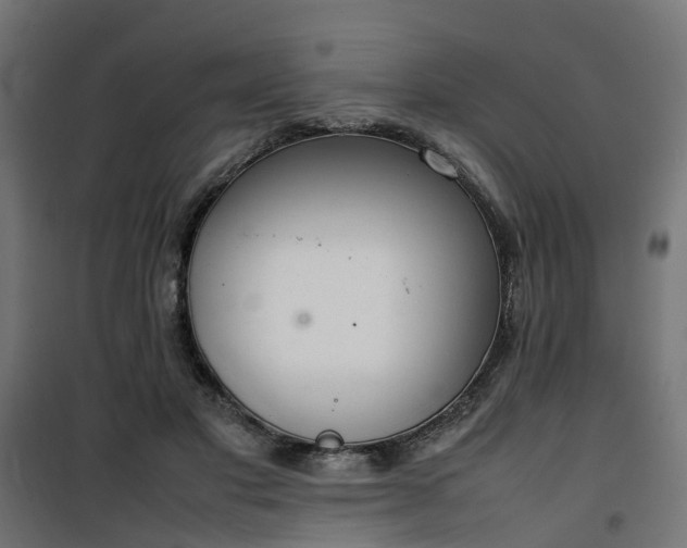 X0000100480501200806201633