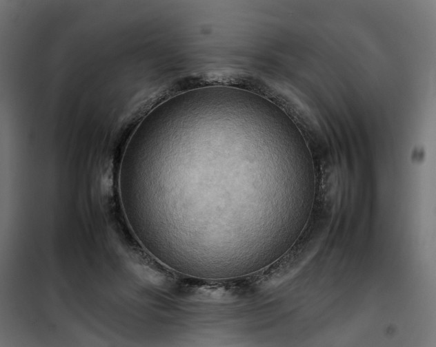 X0000100480502200806201633