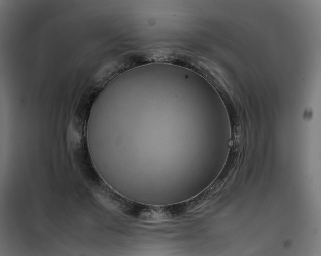X0000100480503200806201633