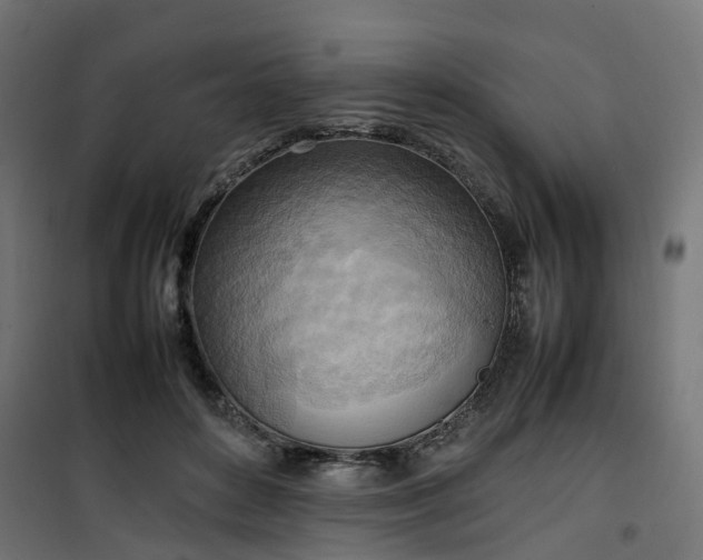 X0000100480504200806201633