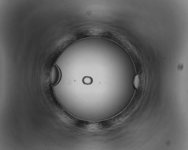 X0000100480505200806201633