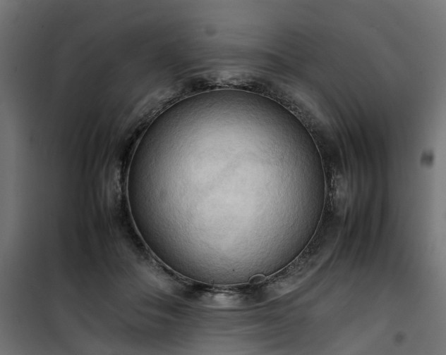 X0000100480506200806201633