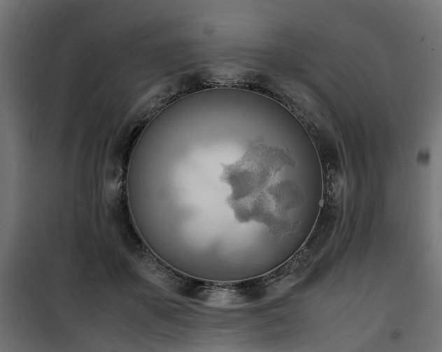X0000100480507200806201633