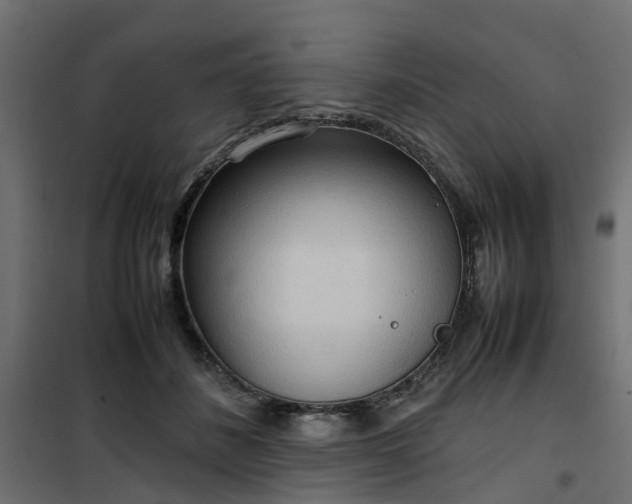 X0000100480508200806201633