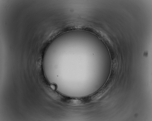 X0000100480509200806201633