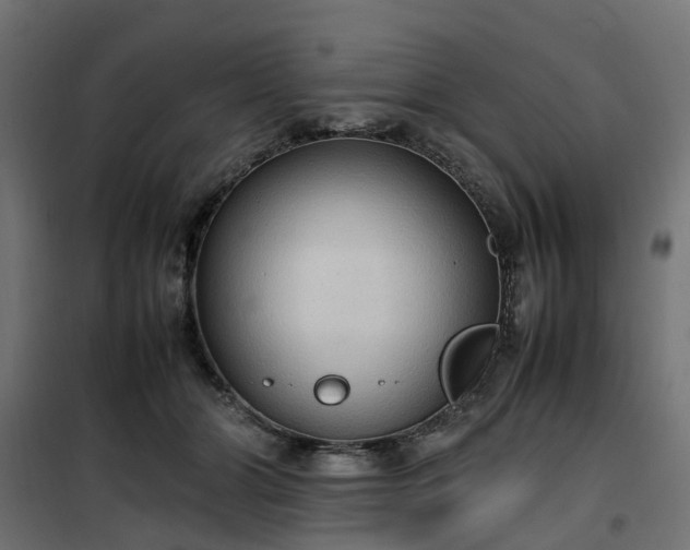 X0000100480510200806201633