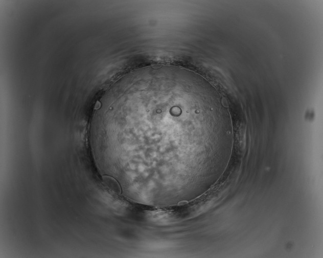 X0000100480511200806201633