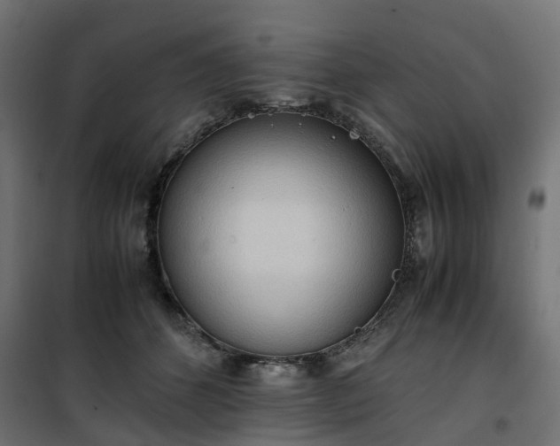 X0000100480512200806201633