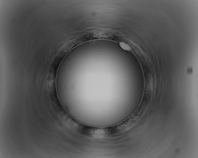 X0000100480513200806201633