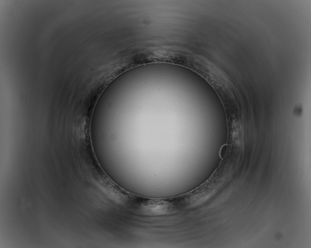 X0000100480514200806201633