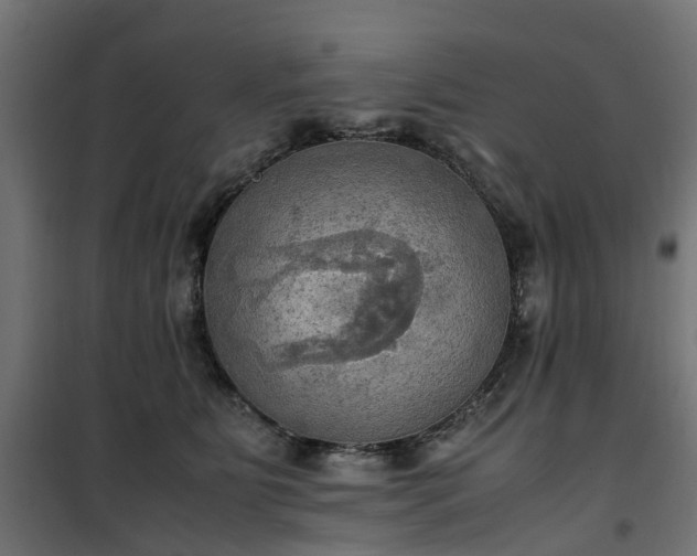 X0000100480515200806201633