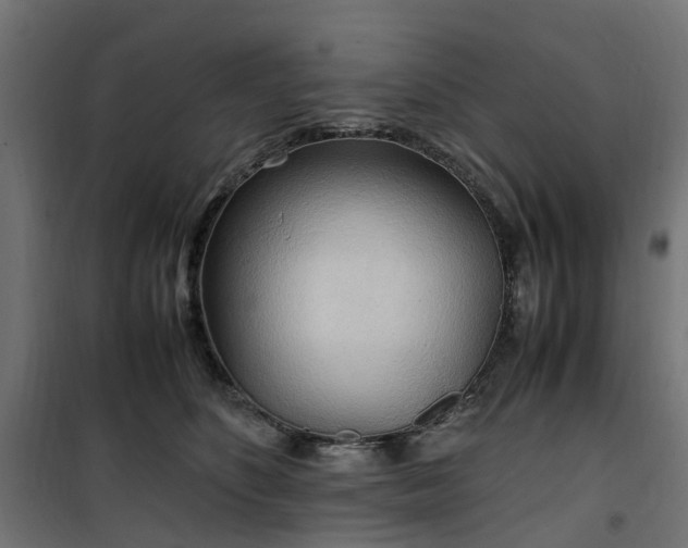 X0000100480516200806201633