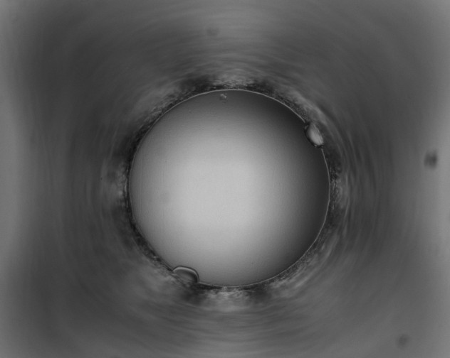 X0000100480517200806201633