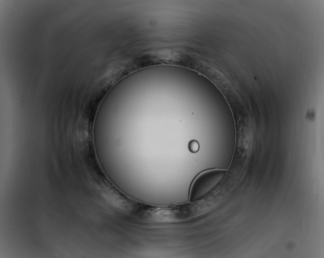 X0000100480518200806201632
