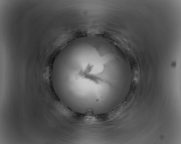 X0000100480519200806201632