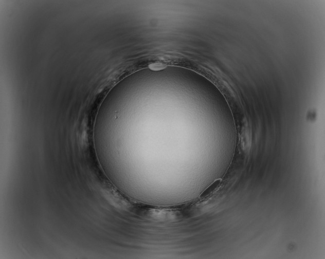 X0000100480520200806201632