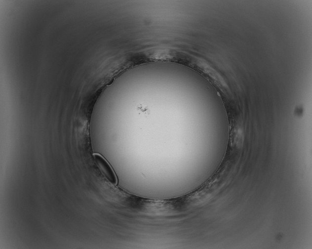 X0000100480521200806201632