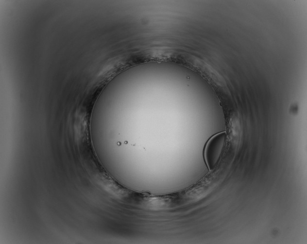 X0000100480522200806201632