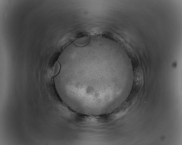 X0000100480523200806201632