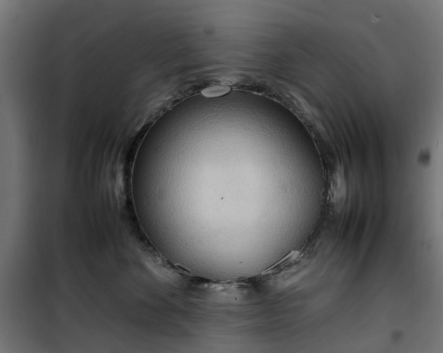 X0000100480524200806201632