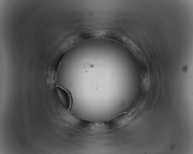 X0000100480525200806201632