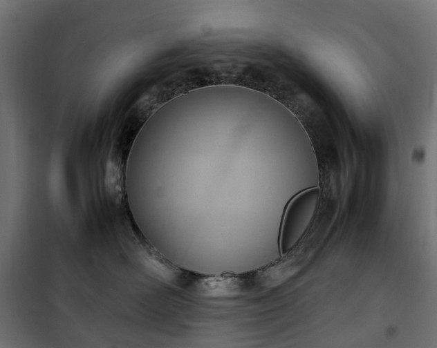 X0000100480526200806201632