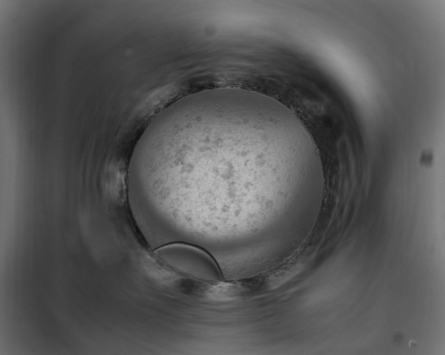 X0000100480527200806201632